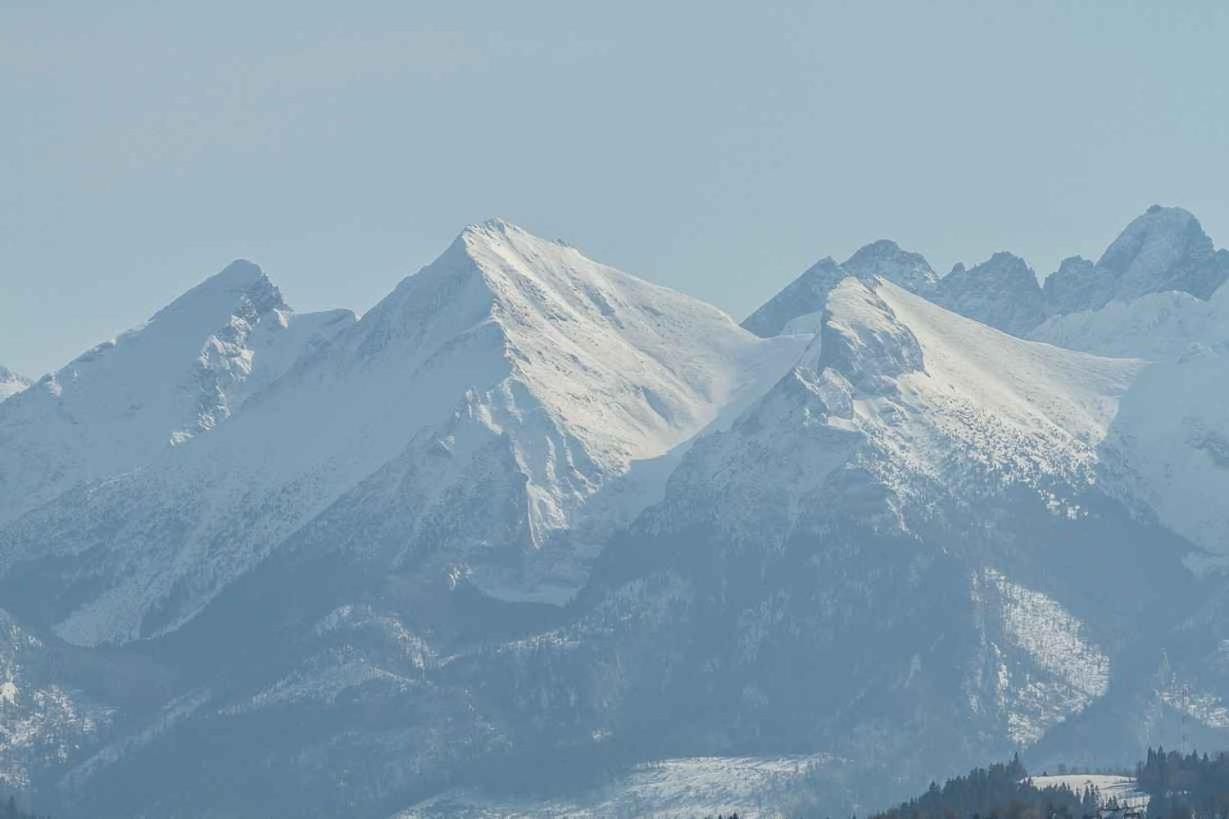 Mountain Forest *